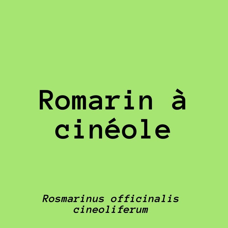 ROMARIN À CINÉOLE, Rosmarinus officinalis cineoliferum